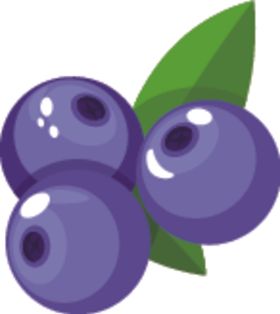 蓝莓