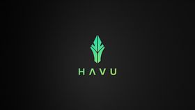 HAVUGaming战队