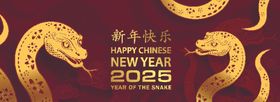 蛇年海报金送福卡通2025