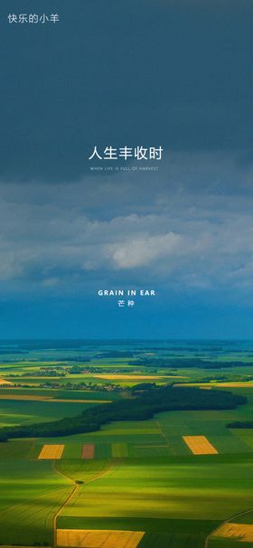 芒种海报