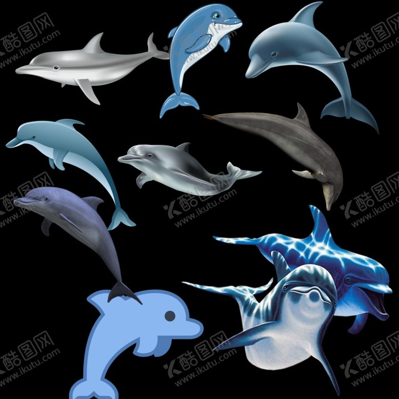 编号：63624410062149458551【酷图网】源文件下载-海豚png免扣图片