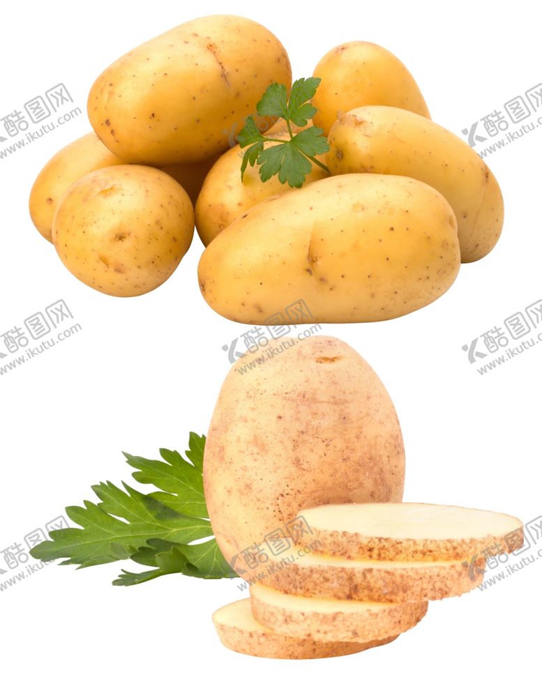编号：92615409281935163582【酷图网】源文件下载-土豆