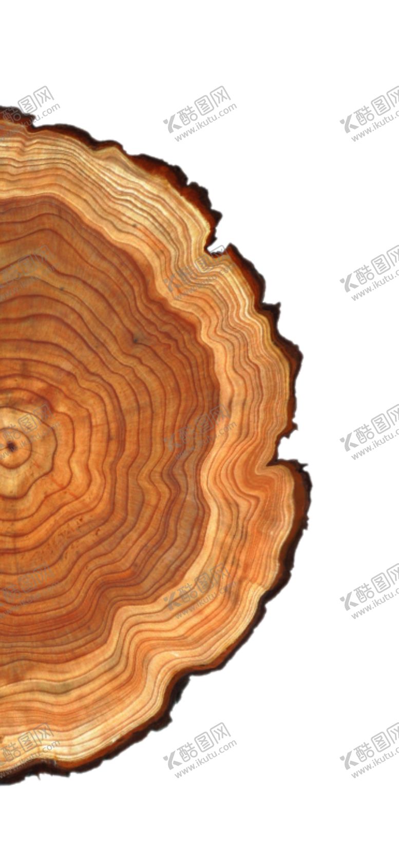 编号：93902302131351318261【酷图网】源文件下载-树轮