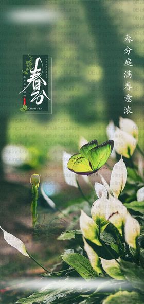 春分节气高档