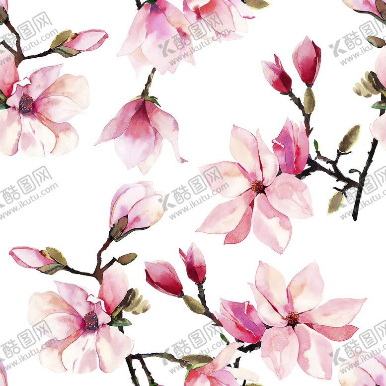 编号：35829409210844287240【酷图网】源文件下载-玉兰花