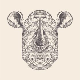 动物铅笔画