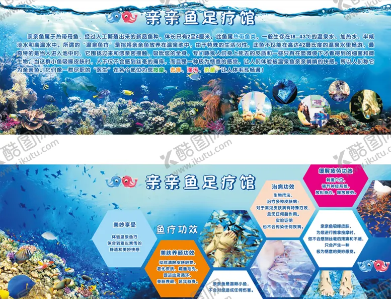 编号：56883110200053037448【酷图网】源文件下载-亲亲鱼足疗海报