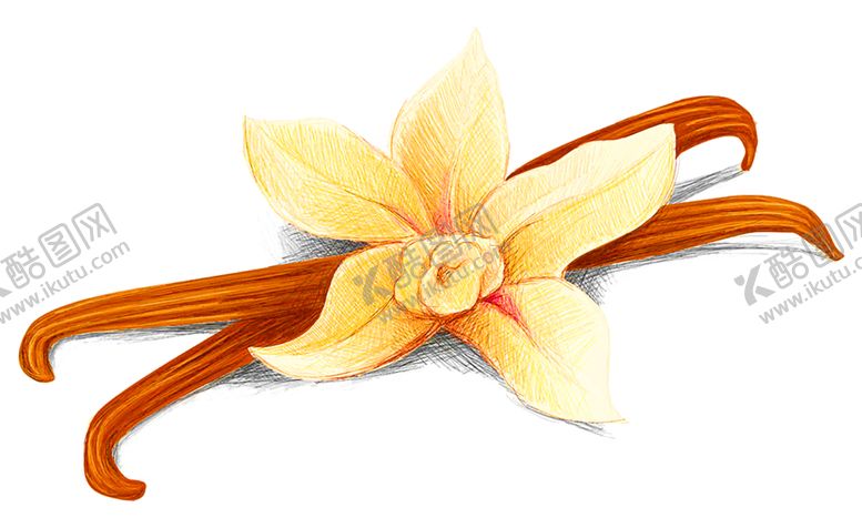 编号：72831009201405566567【酷图网】源文件下载-浪漫素材