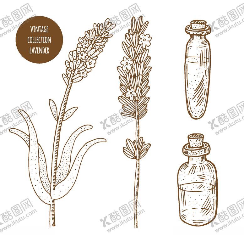 编号：22218410070539475993【酷图网】源文件下载-植物线稿