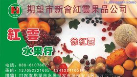 水果名片
