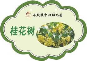 手绘桂花树