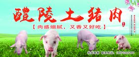 醴陵土猪肉