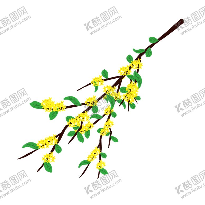编号：80943405180023423911【酷图网】源文件下载-素材黄花