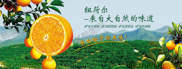 编号：42436804181533295796【酷图网】源文件下载-蔬果生鲜促销