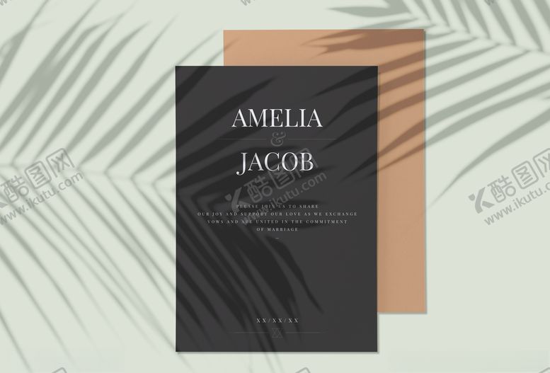 编号：95716209240151237874【酷图网】源文件下载-简约风阴影照片展示