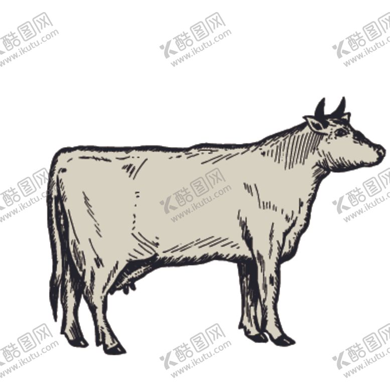 编号：41950509232252206005【酷图网】源文件下载-家养动物主题插画