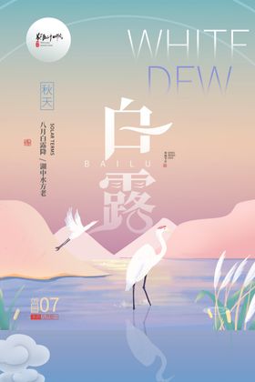 白露时节水边白鹭图