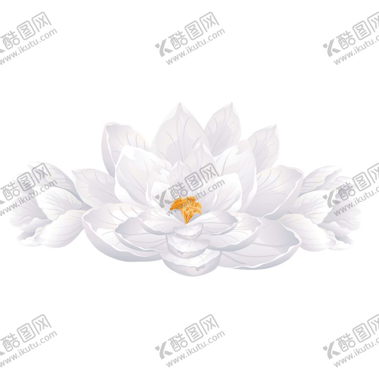 编号：53086705151044116960【酷图网】源文件下载-鲜花素材