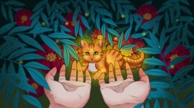 插画素材简约明信片叶子