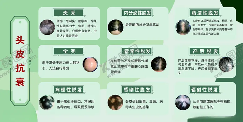 编号：64480902172050433831【酷图网】源文件下载-头皮抗衰