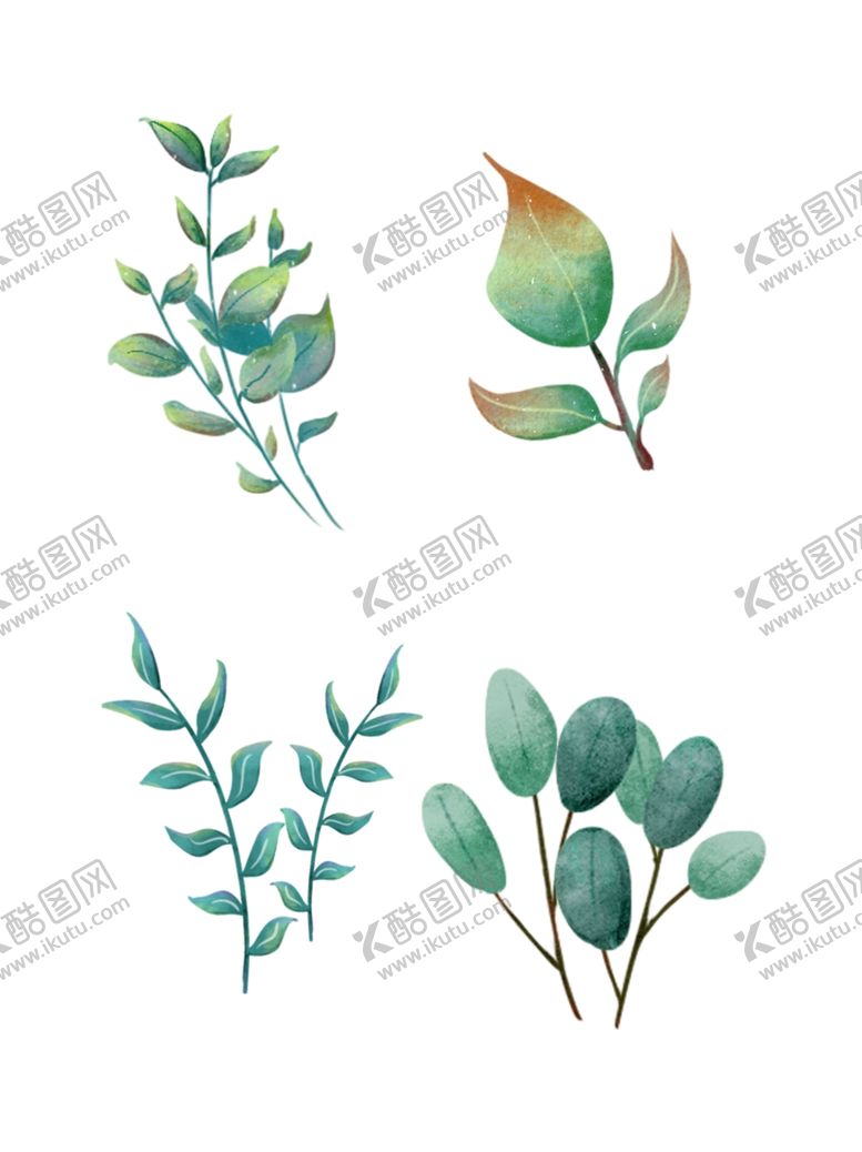 编号：57350212050213097984【酷图网】源文件下载-植物水彩