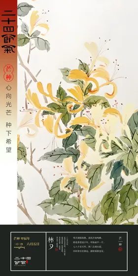 芒种二十四节气