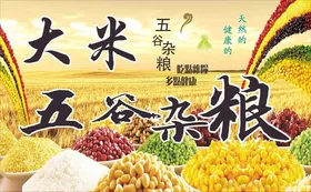 五谷杂粮海报等红豆黄豆小米