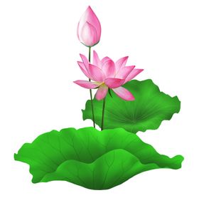 荷花莲花水墨荷花素材