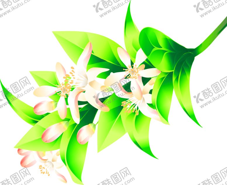 编号：28123306262356034092【酷图网】源文件下载-鲜花装饰