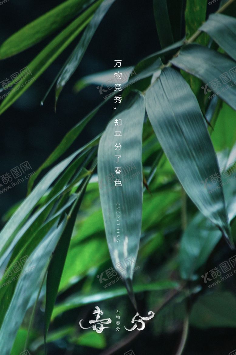 编号：33077912110501452431【酷图网】源文件下载-春分插画海报