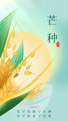 芒种海报宣传活动传统