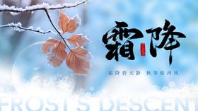 霜降时节枝头残叶覆薄霜