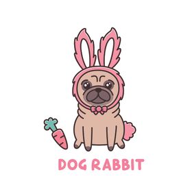 八哥犬