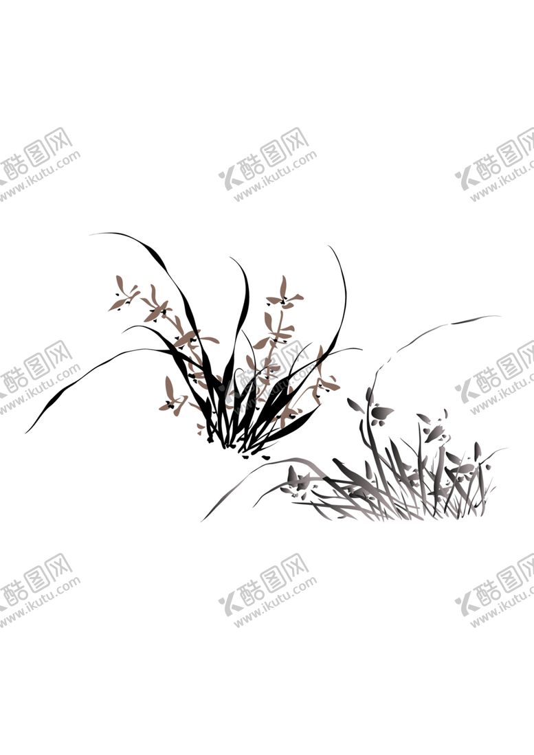 编号：12650301180046347680【酷图网】源文件下载-兰花