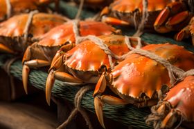 新鲜绑绳大闸蟹堆叠