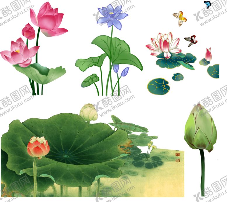 编号：29179312192153255444【酷图网】源文件下载-荷花荷叶