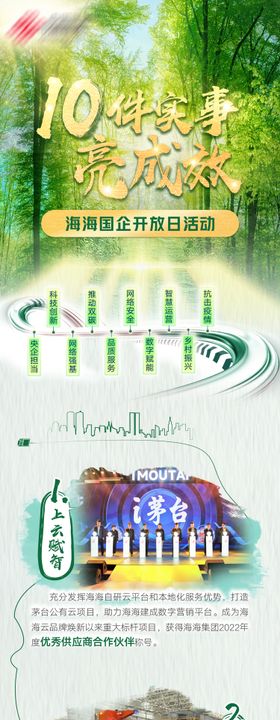 乡村振兴纪实长图海报