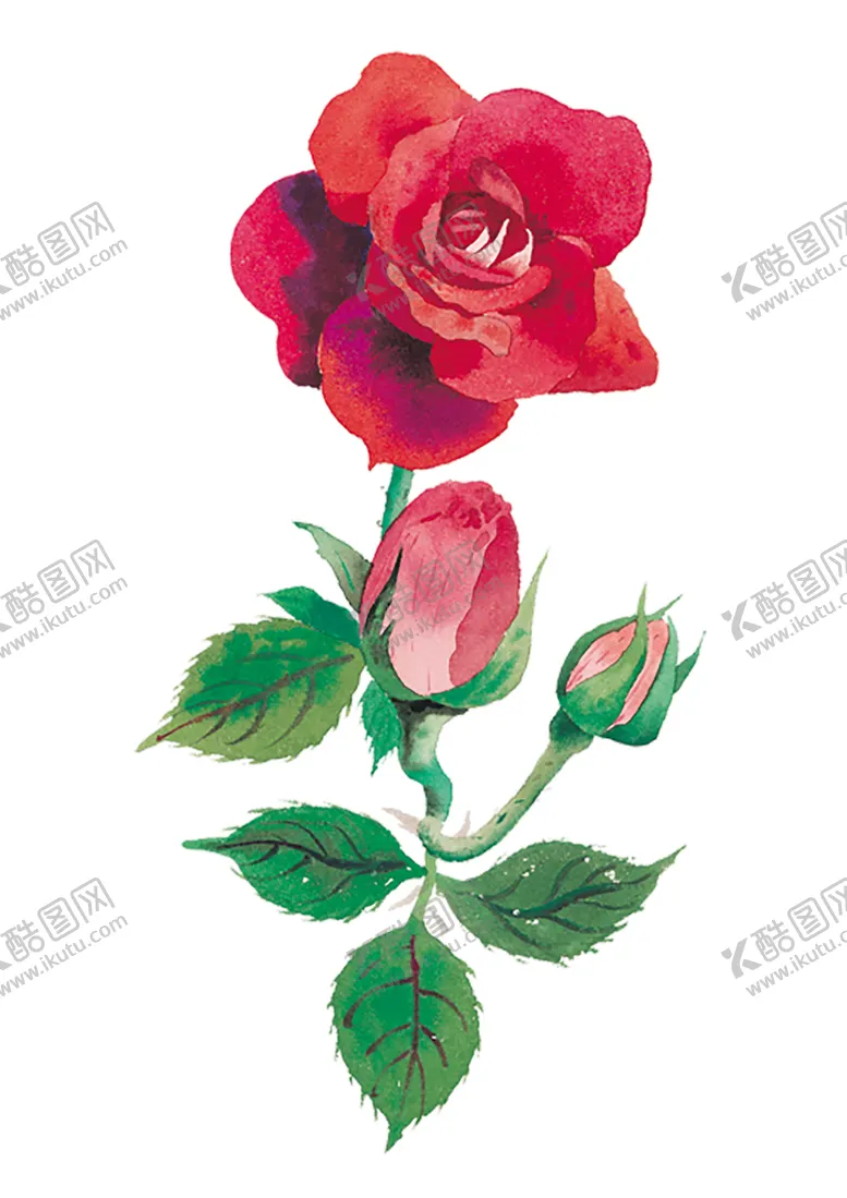 编号：42931106242156314050【酷图网】源文件下载-鲜花素材