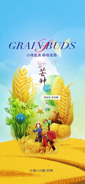 芒种海报