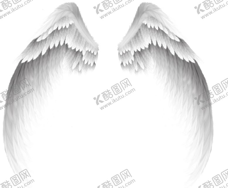 编号：95155706231811163884【酷图网】源文件下载-天使的翅膀
