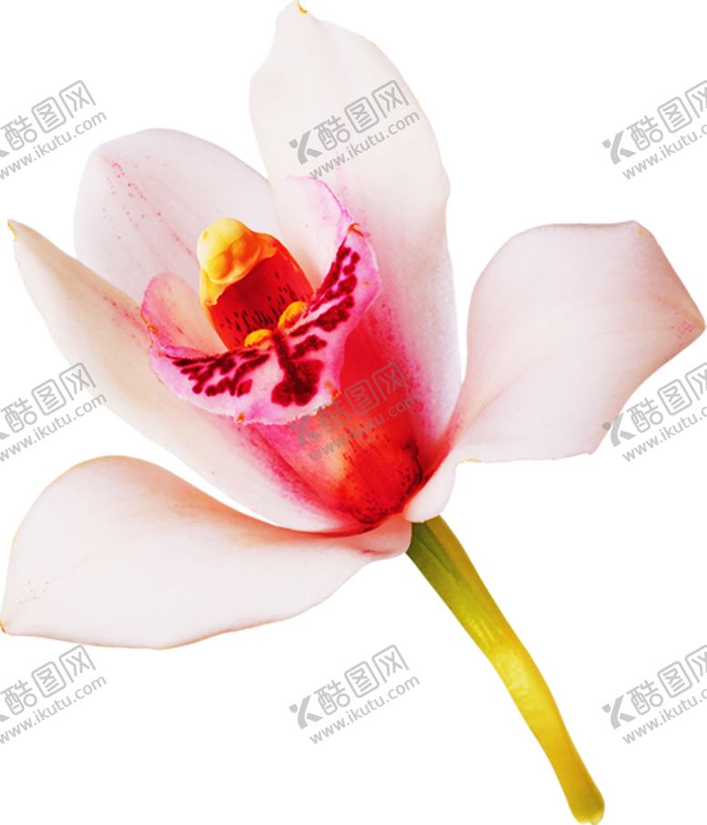 编号：17872610282057192078【酷图网】源文件下载-浪漫素材