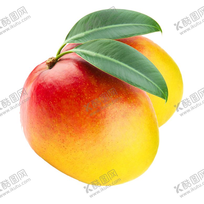 编号：77690011011740336863【酷图网】源文件下载-桃子