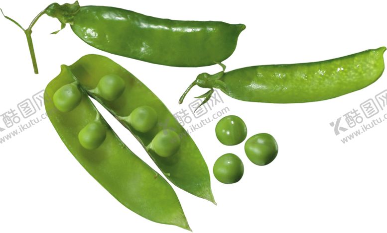 编号：67068009201959561487【酷图网】源文件下载-青豆