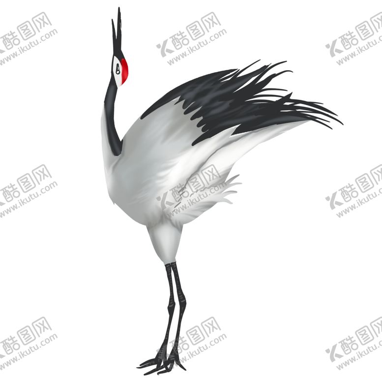 编号：85511804071606534556【酷图网】源文件下载-仙鹤元素