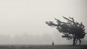 云海 平流大雾 大雾天气 