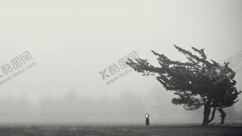 编号：79810710201610386960【酷图网】源文件下载-草原大树大雾风景背景