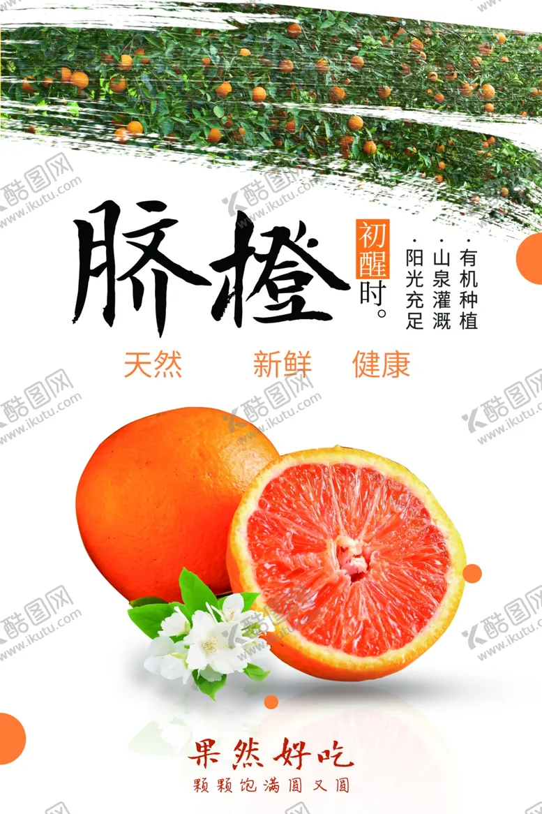 编号：33691801261305401078【酷图网】源文件下载-脐橙