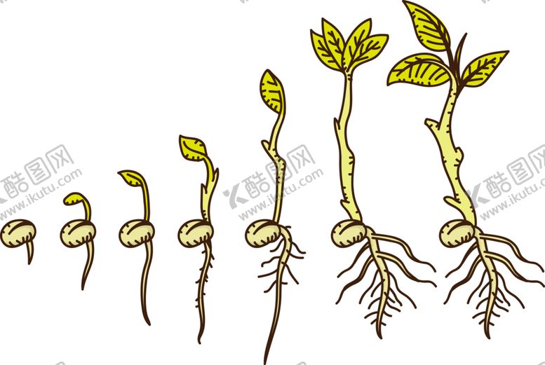 编号：24035209290704598422【酷图网】源文件下载-绿色植物