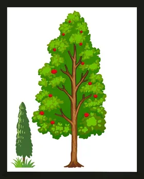 手绘树木绿植素材大