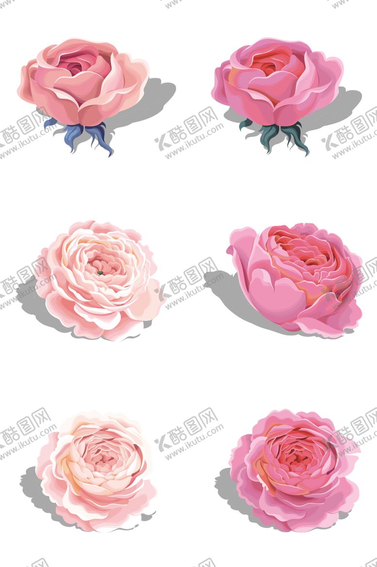 编号：12497810120159399203【酷图网】源文件下载-玫瑰花装饰素材
